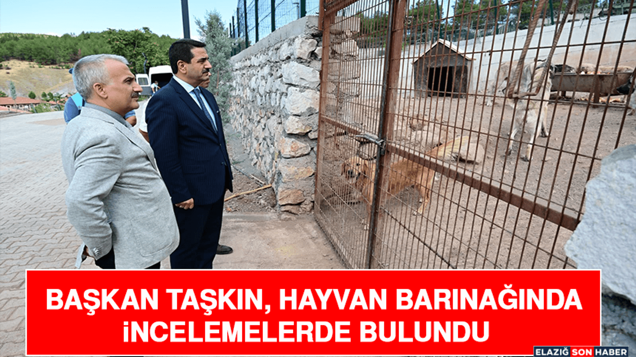 Başkan Taşkın, Hayvan Barınağında İncelemelerde Bulundu