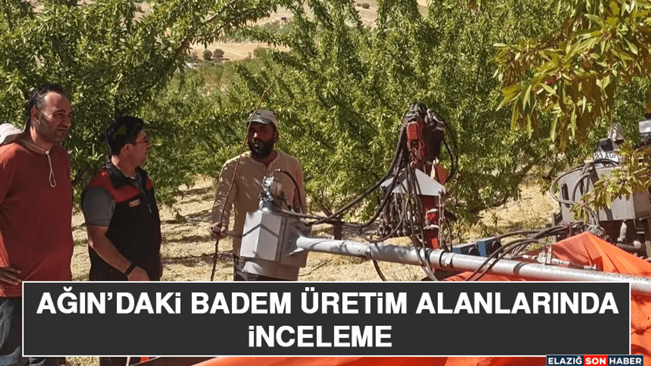 Ağın’daki Badem Üretim Alanlarında İnceleme