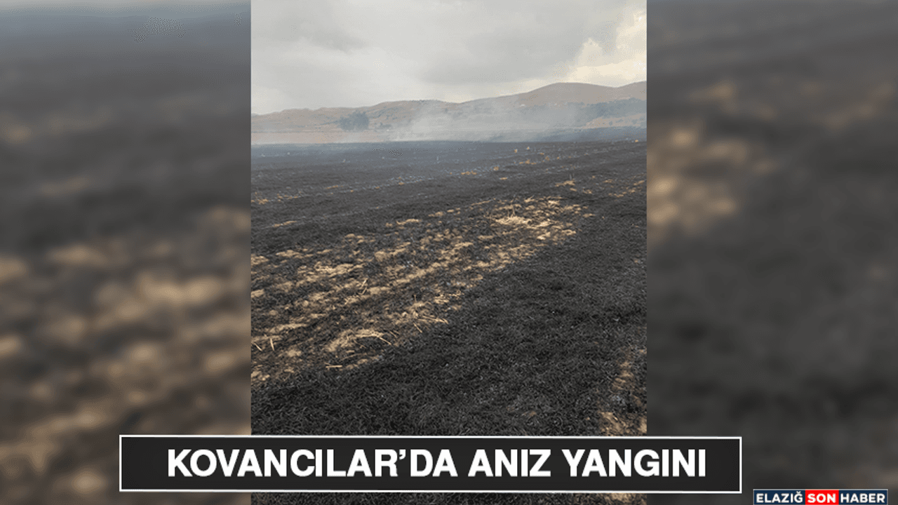 Kovancılar’da Anız Yangını