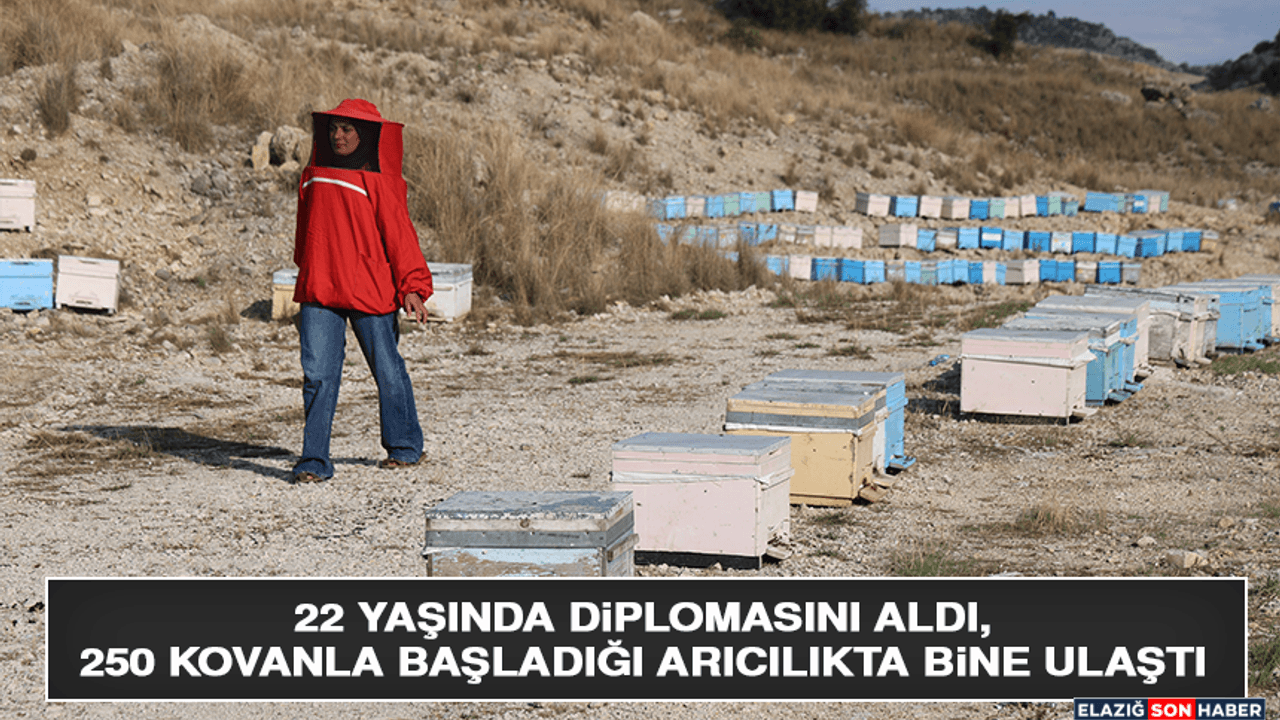 22 Yaşında Diplomasını Aldı, 250 Kovanla Başladığı Arıcılıkta Bine Ulaştı