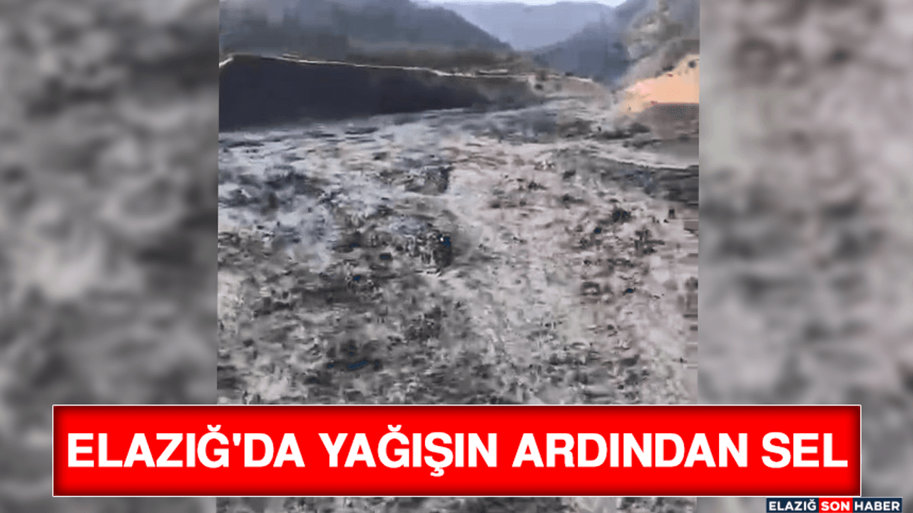 Elazığ'da Yağışın Ardından Sel