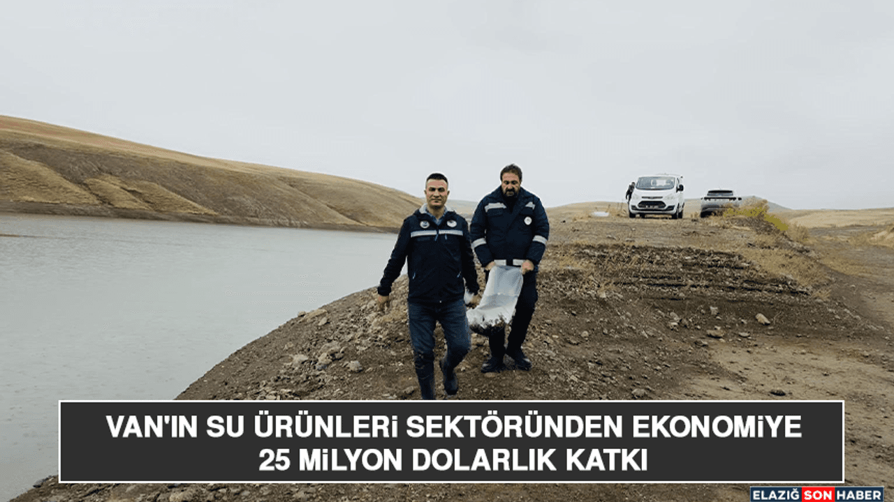 Van'ın Su Ürünleri Sektöründen Ekonomiye 25 Milyon Dolarlık Katkı