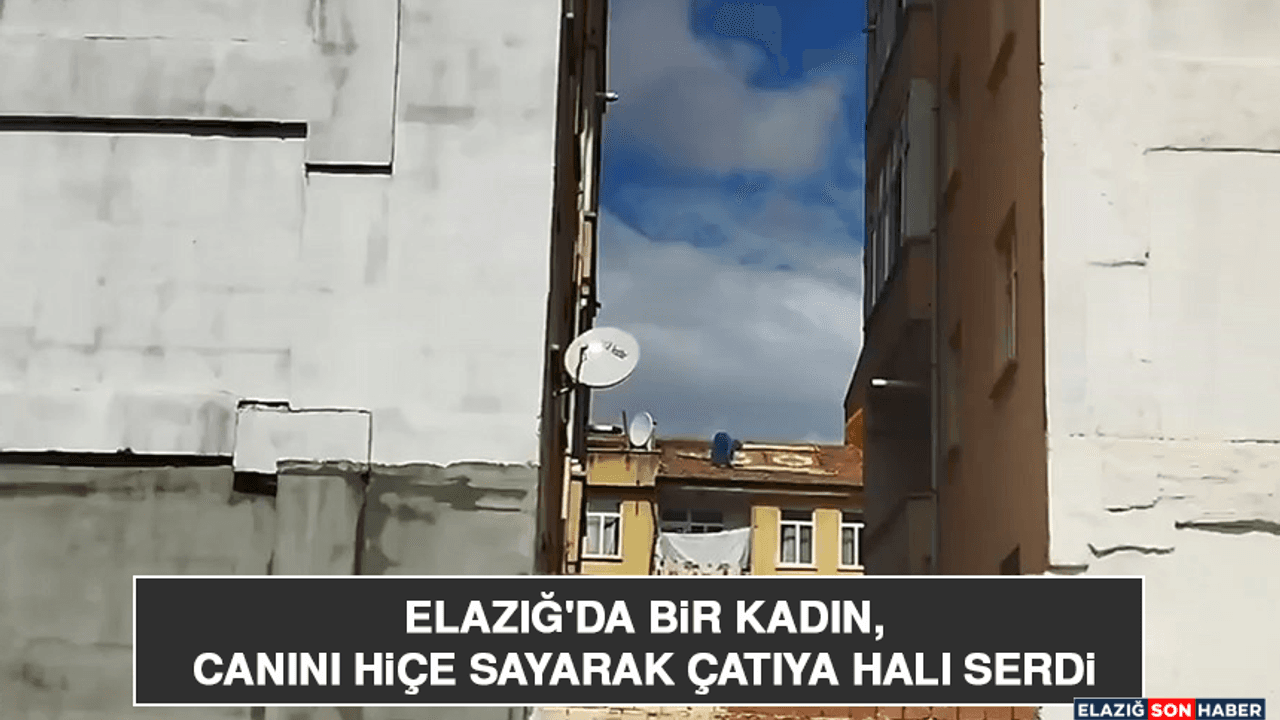 Elazığ'da Bir Kadın, Canını Hiçe Sayarak Çatıya Halı Serdi