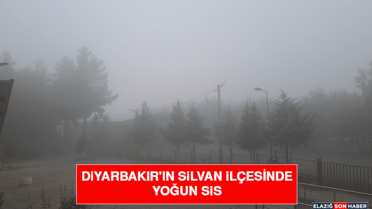 Diyarbakır'ın Silvan İlçesinde Yoğun Sis