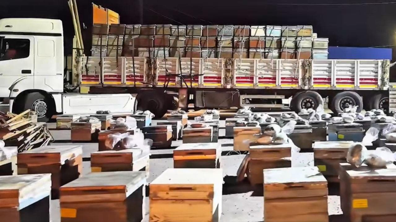 Hakkari'de Arı Kovanlarına Saklanmış 91 Kilogram Uyuşturucu Yakalandı