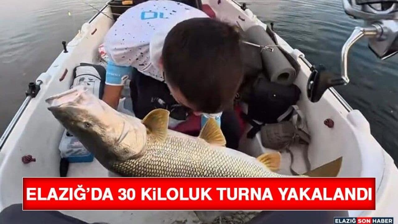 Elazığ’da 30 Kiloluk Turna Yakalandı