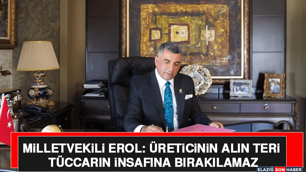 Milletvekili Gürsel Erol'dan Üzüm Üreticileri İçin Destek Çağrısı