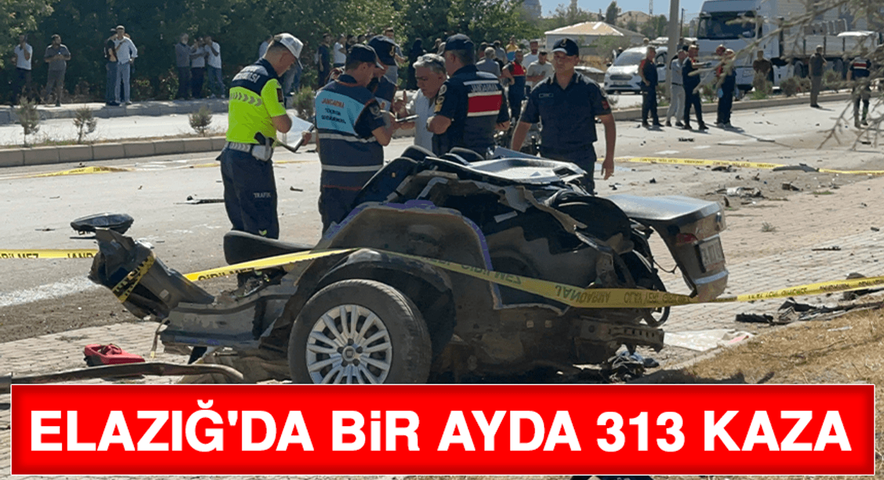 Elazığ'da Bir Ayda 313 Kaza