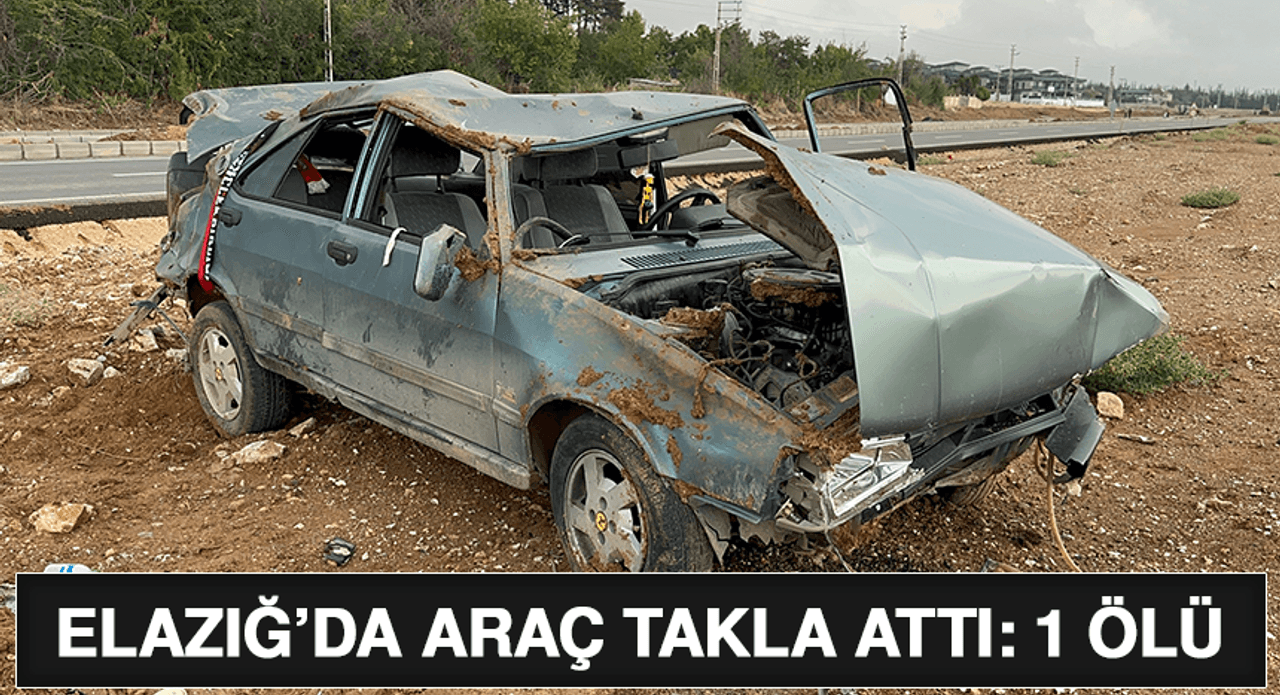 Elazığ-Baskil Yolunda Trafik Kazası: 25 Yaşındaki Sürücü Hayatını Kaybetti