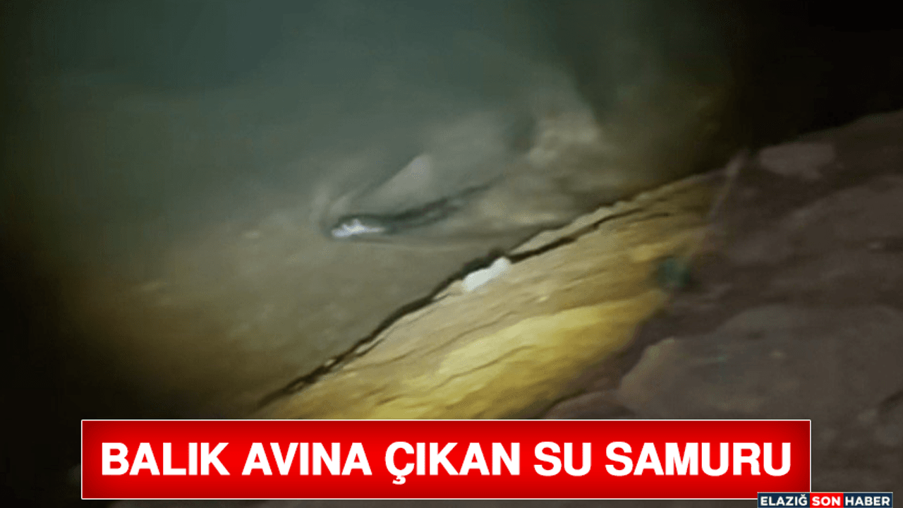 Bulanık suda yü.
