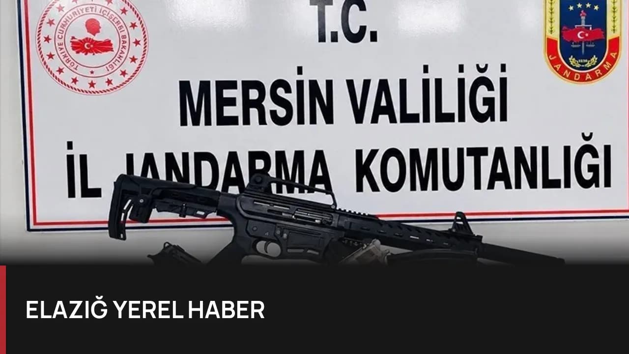 Mersin'de Silah Kaçakçılığına Darbe: Bir Kişi Tutuklandı