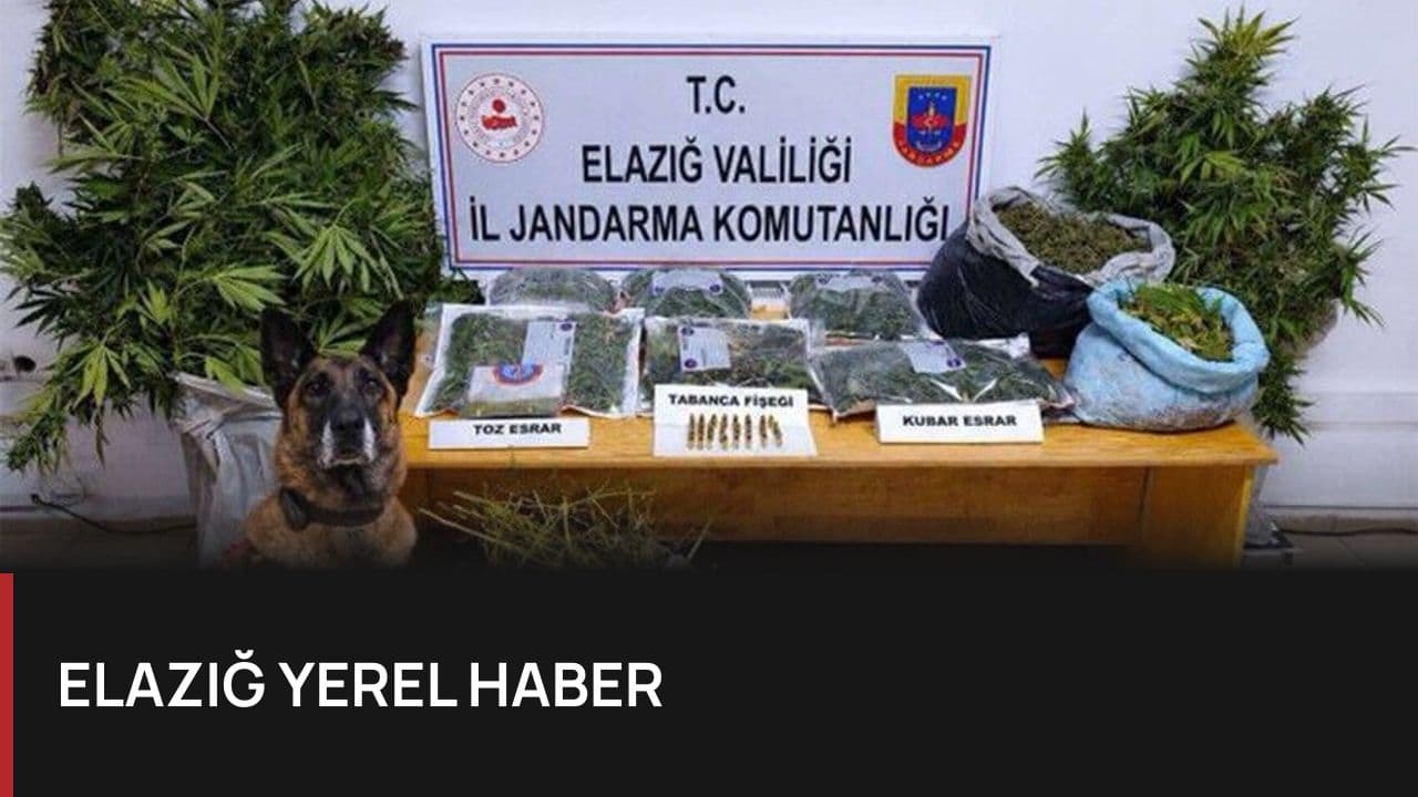 Elazığ'da Uyuşturucu Operasyonu: 3 Kişi Tutuklandı