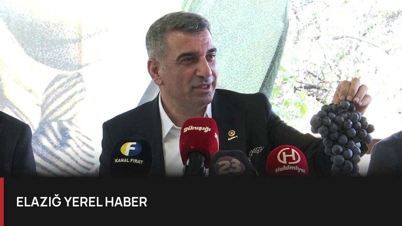 Milletvekili Gürsel Erol Sedeftepe Köyü'nde Üzüm Üreticilerinin Sorunlarını Dinledi