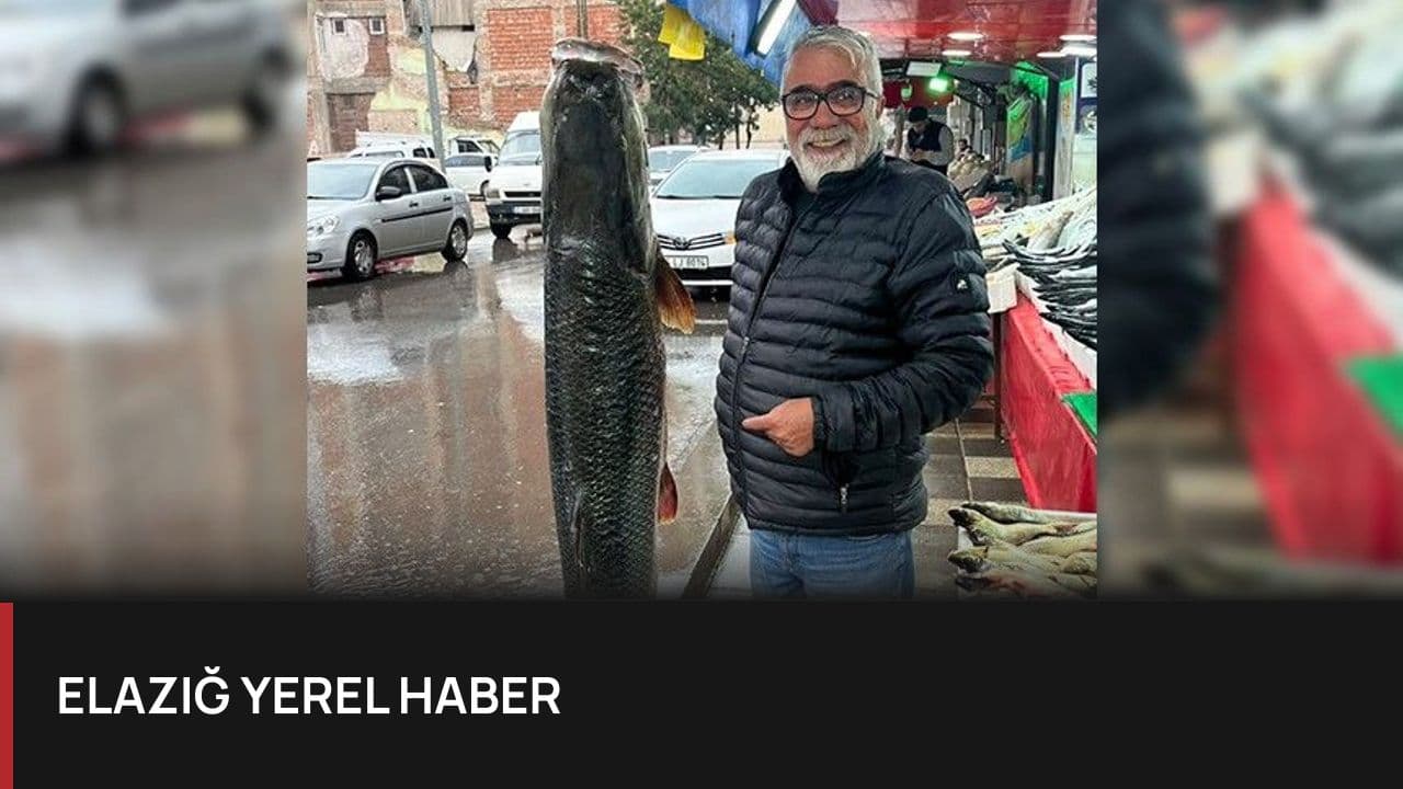 Elazığ'da Dev Turna Balığı Şaşkınlık Yarattı