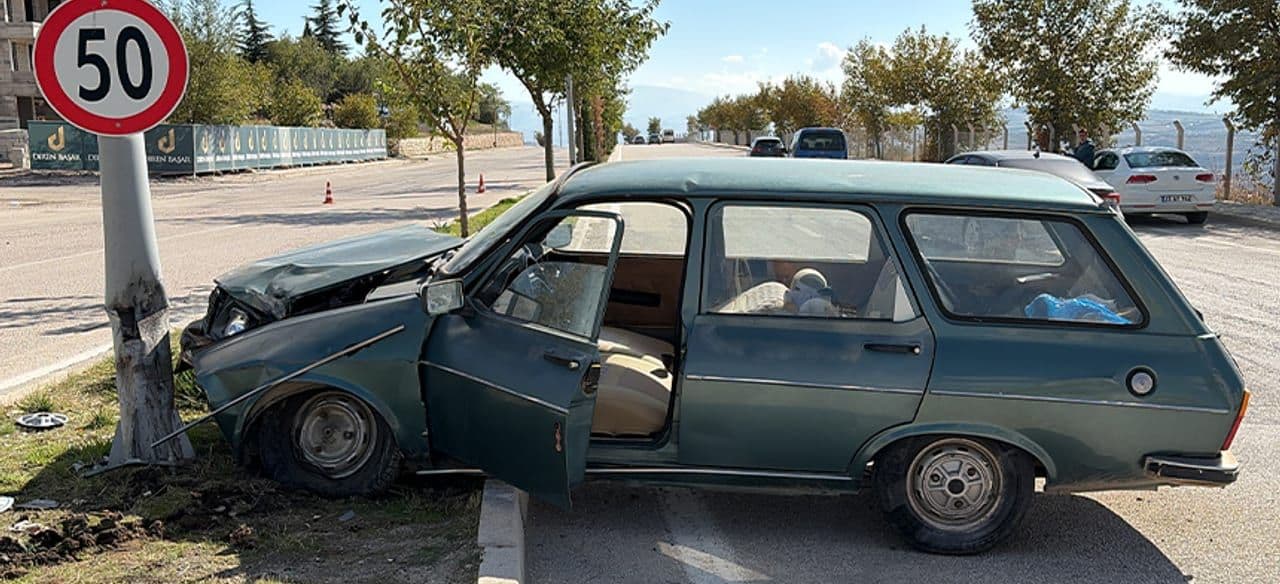 Elazığ'da Otomobil Aydınlatma Direğine Çarptı: 2 Yaralı