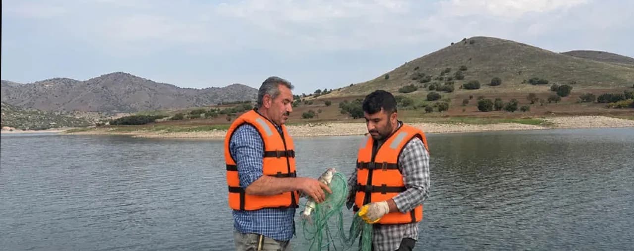 Elazığ'daki Baraj Göllerinde İstilacı Balık Türleri İnceleniyor