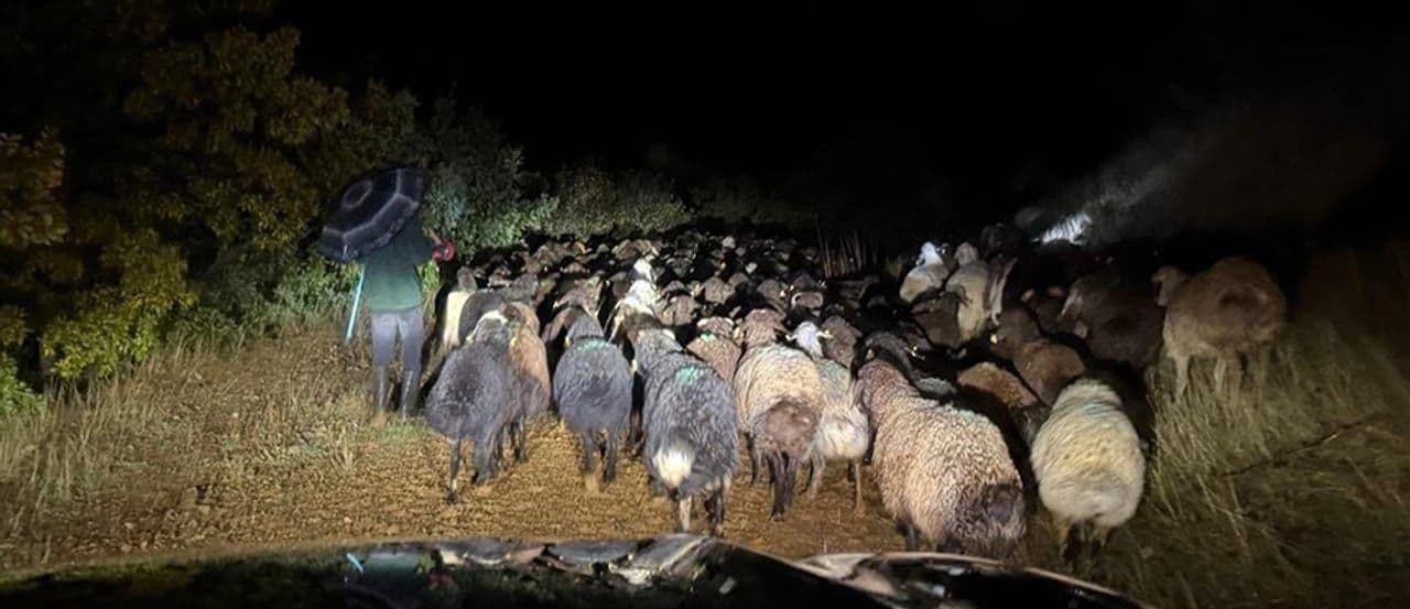 Elazığ'da Dağlık Alanda Mahsur Kalan Çoban ve Sürüsü Kurtarıldı