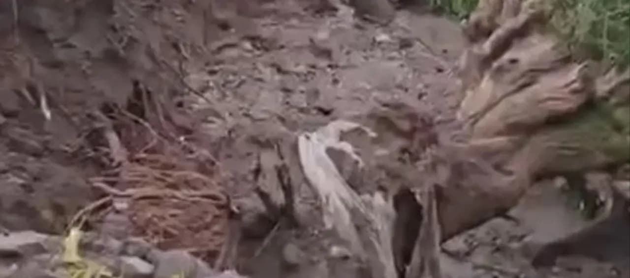 Elazığ'da Şiddetli Yağışlar Hasara Yol Açtı