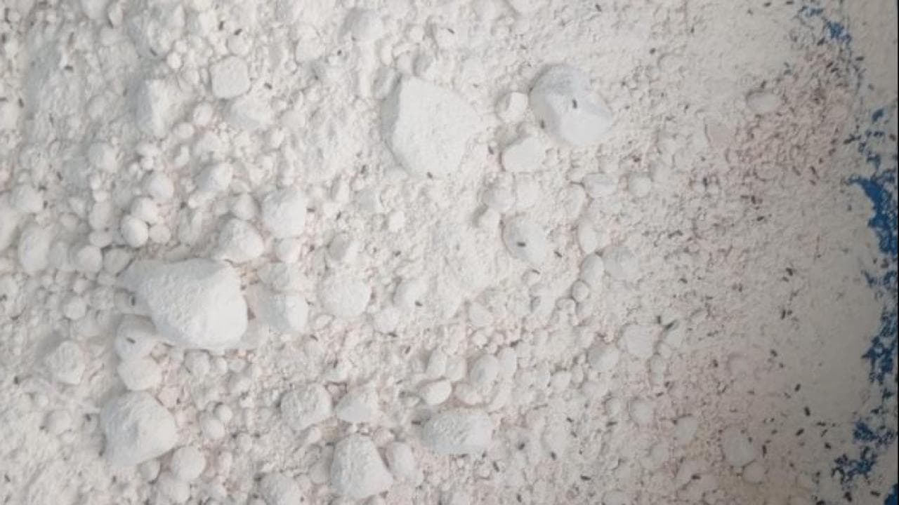 Bartın'da 7,5 Ton Böceklenmiş ve Tarihi Geçmiş Un İmha Edildi