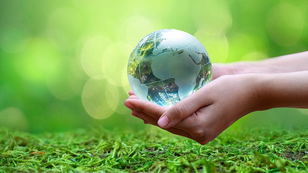 Kasım Ayındaki COP31'de İklim Eğitimi Küresel Gündemin Merkezine Oturacak