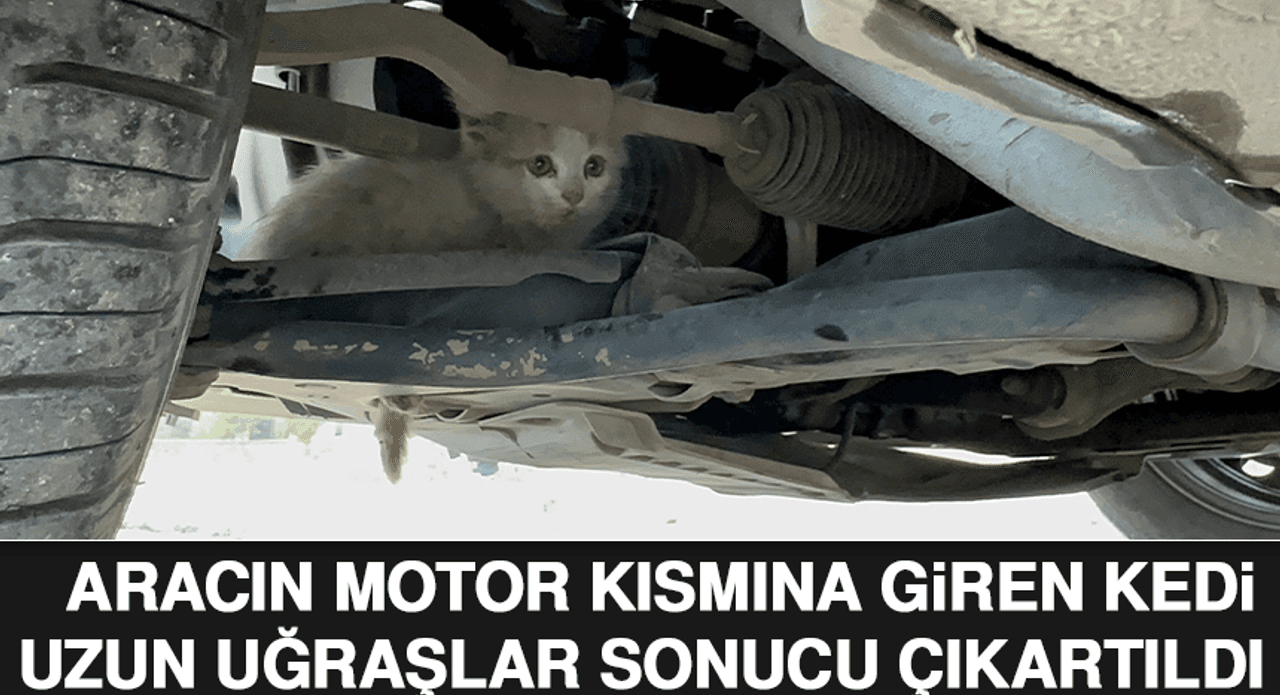 Motor Bölmesine Giren Yavru Kedi Kurtarıldı
