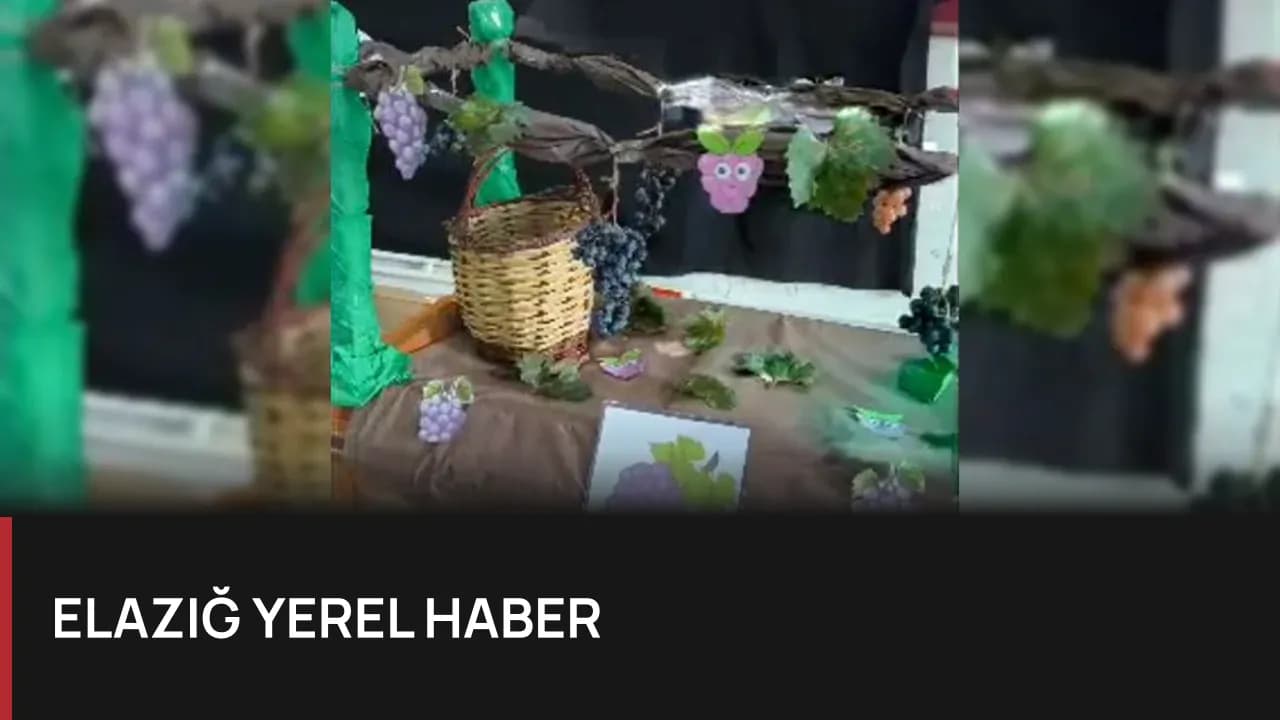 Keban'da Minik Öğrencilerin Üzüm Hasadı Heyecanı