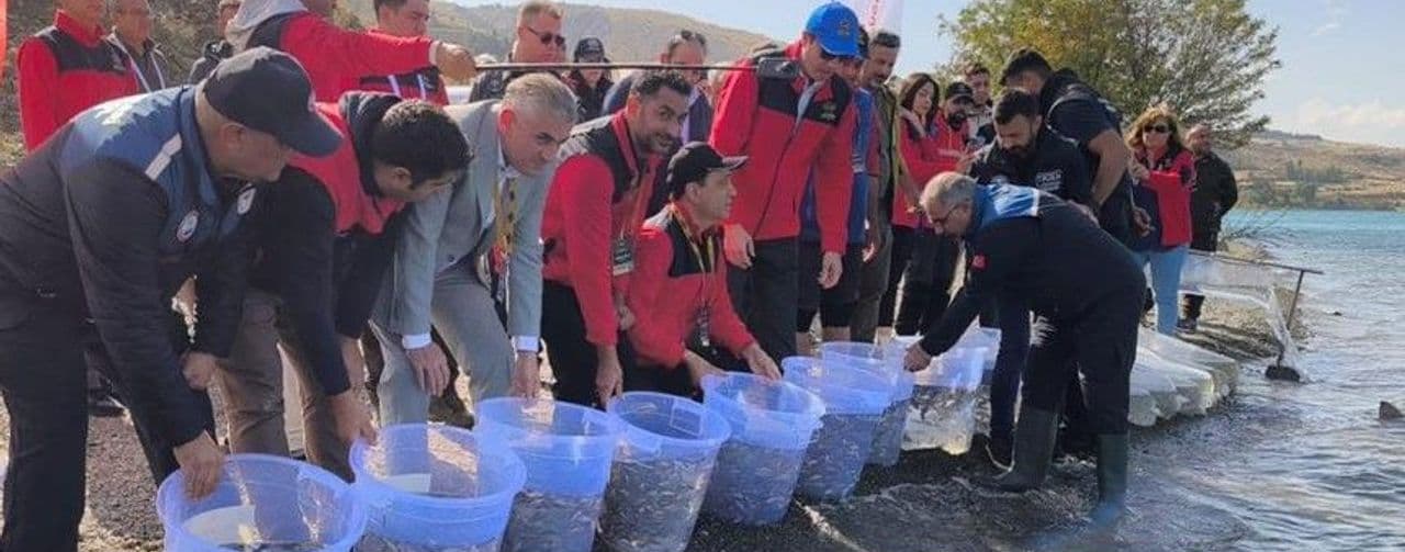 Hazar Gölü'nde Sazan Kupası Heyecanı: 422 Balık Doğaya Geri Döndü
